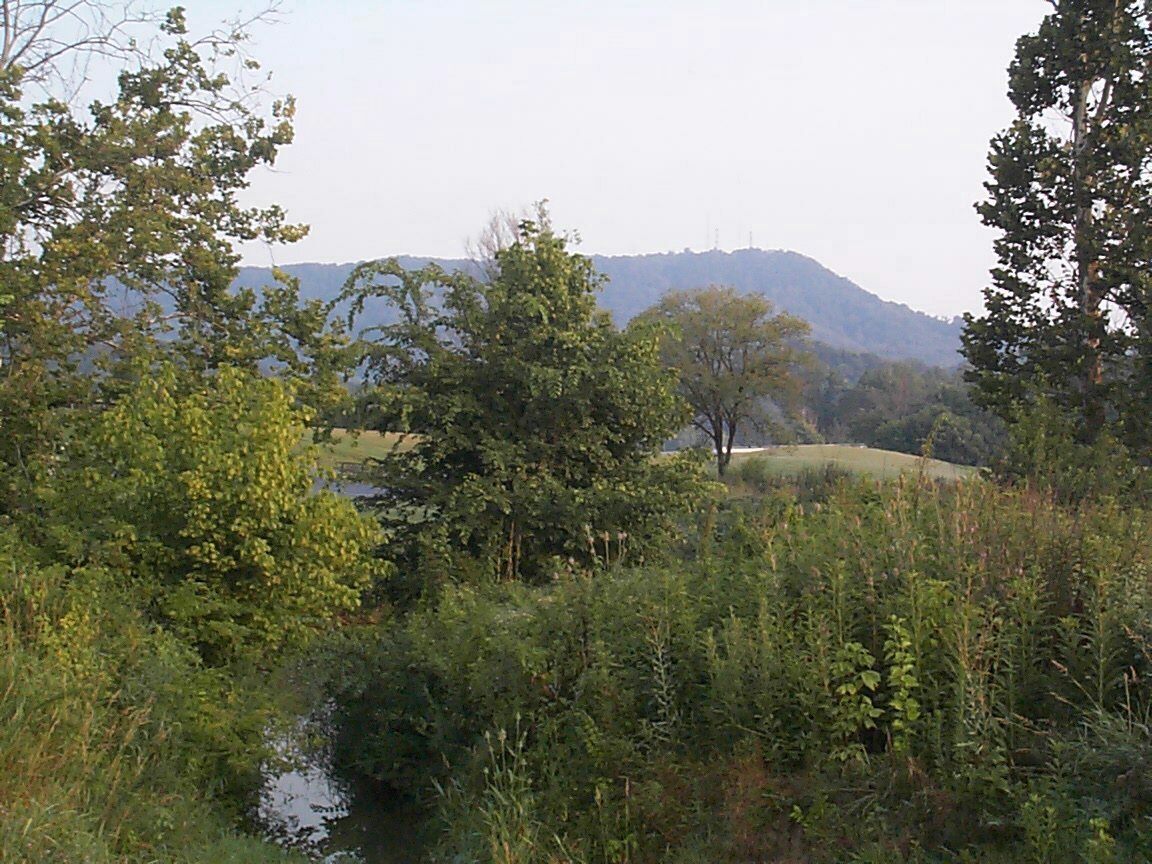 Bays Mountain